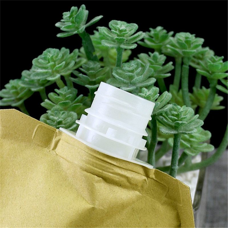 Saco de bocal de papel kraft de suprimento direto da fábrica da China com tipo de tampa de rosca com logotipo personalizado (2)